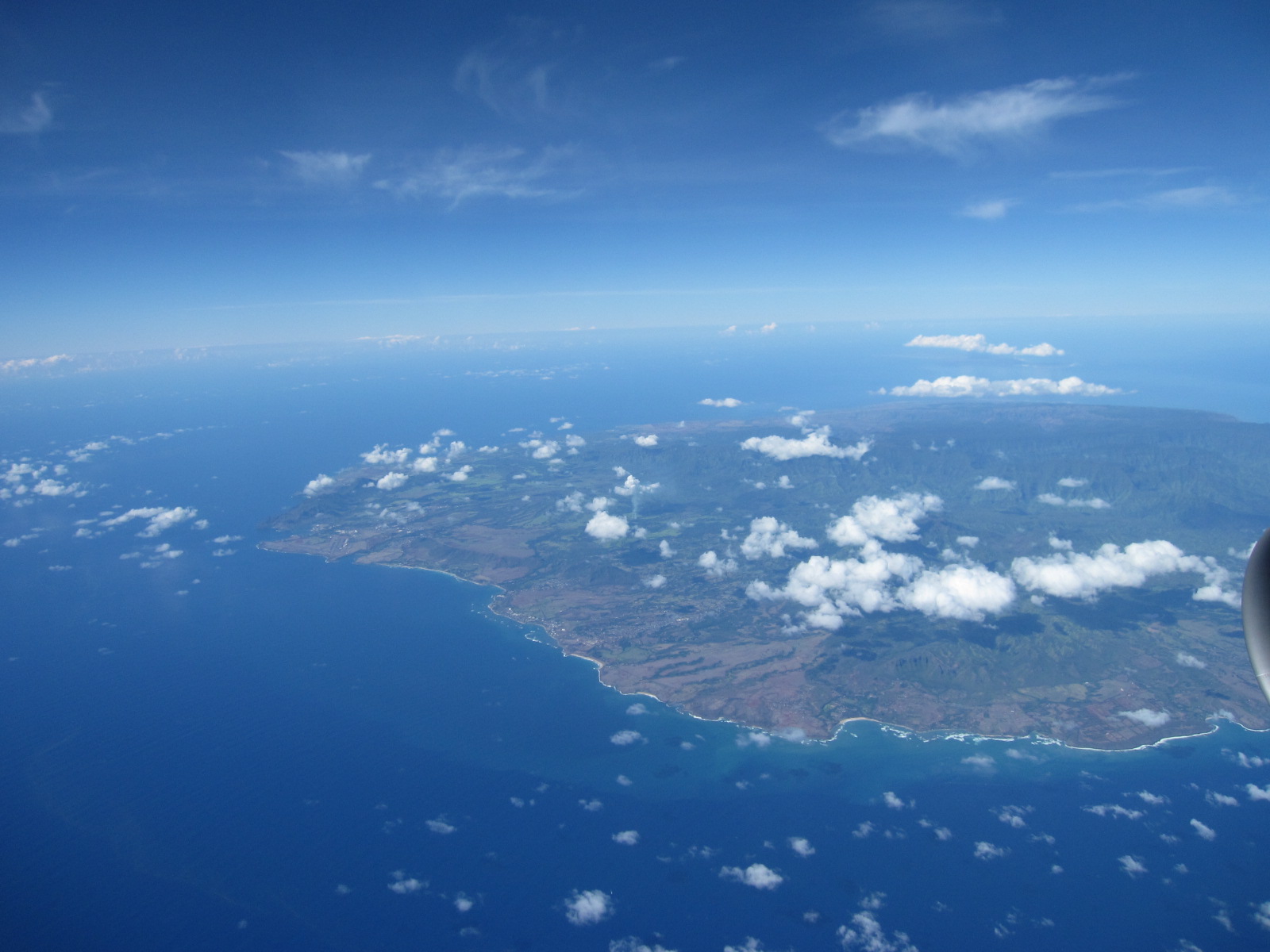 この美しい海を守るために