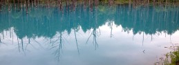 青い池（北海道・美瑛白金）にて